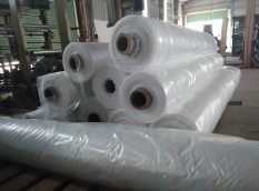 Màng LDPE khổ lớn 6m